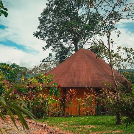 Huasquila Amazon Lodge Cotundo エクステリア 写真