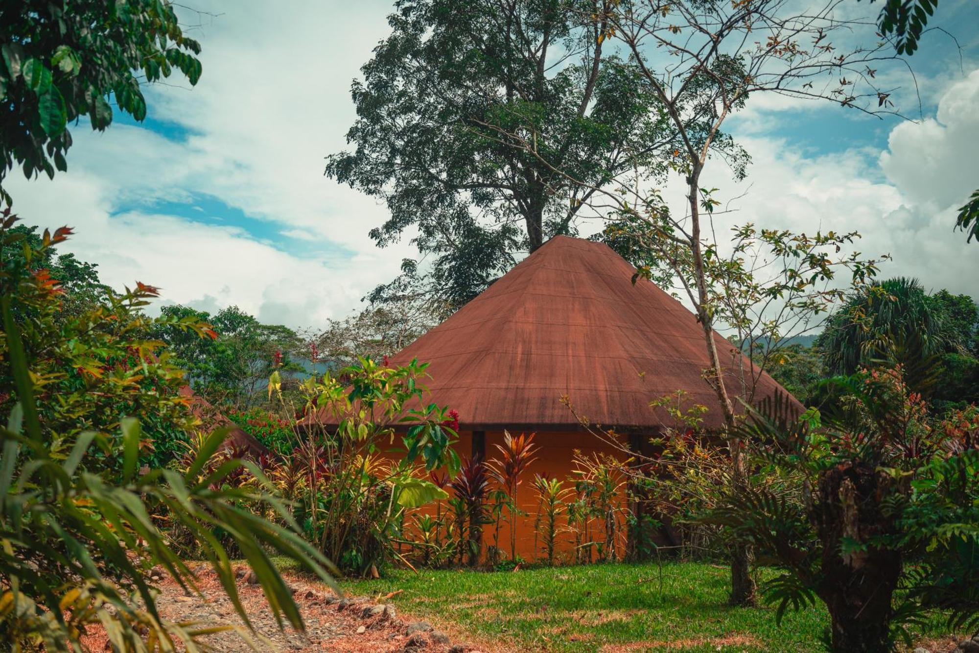 Huasquila Amazon Lodge Cotundo エクステリア 写真